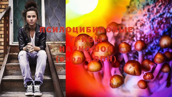 мдпв Тутаев