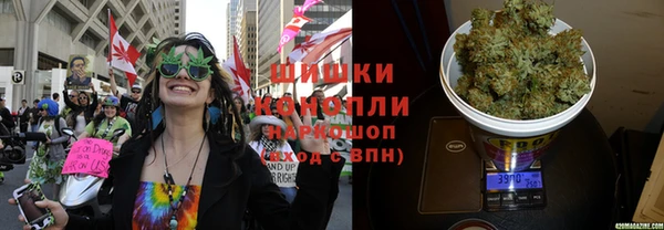 мдпв Тутаев