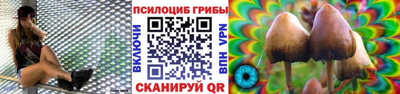 Галлюциногенные грибы мицелий  Купить закладки  Сортавала 